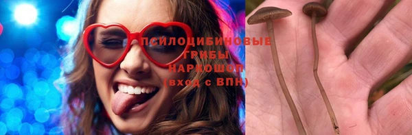 бошки Алзамай